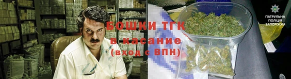 индика Баксан
