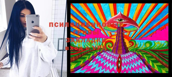 стафф Богданович