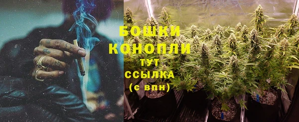 гашик Белоозёрский