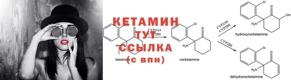 стафф Богданович
