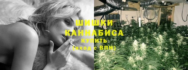 стафф Богданович