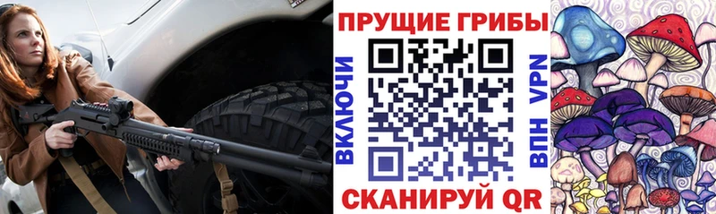 Псилоцибиновые грибы прущие грибы  OMG вход  Верхний Тагил 